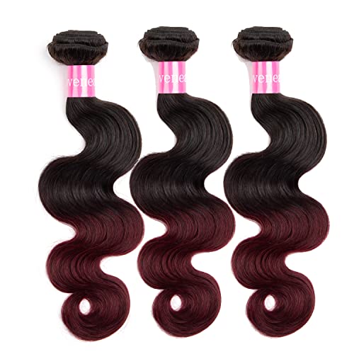 2 Tone Ombre Body Wave Human Hair 3 Bundles with 4x4 Lace Closure 100% Brazilian Remy Virgin Hair Body Wave Human Hair Bundles with 4x4 Free Part Lace Closure(T1B/99J, 10 12 14+10)