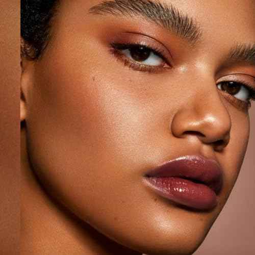 Black Berry Lipstick for Women Hydrate Glossy Lipstick Moisture Lip Gloss Sheer-Medium Coverage Long Lasting Lipsticks for Dry Lips (DM65 Berry)