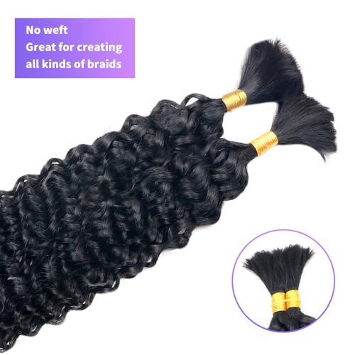 Human Braiding Hair Water Wave Bulk Human Hair For Braiding 100g (1pack-2bundles) No Weft 100% Unprocessed Human Braiding Hair For Boho Braids Water Wave Micro Braiding Human Hair 26inch Natural Color