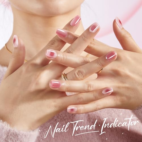 Modelones Jelly Gel Nail Polish Kit with UV Light, Fall Sheer Pink Nude Red Brown Jelly Gel Polish with Base Top Coat Pearl Chrome Powder 4 Transparent Colors Mini Salon Nail Art Gift for Women Girls