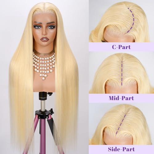 NBRUW 613 5x5 Lace Front Wig Human Hair 200 Density 22 Inch Straight 613 Blonde Wig Human Hair 5x5 200 Density HD Lace Front Closure Wigs Human Hair Blonde Pre Plucked for Women