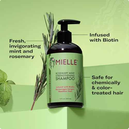 Mielle Organics Rosemary Mint Hair Strengthening Biotin Shampoo - Moisturizing Hair Shampoo for Women and Men to Gently Cleanse, Repair & Protect Strands (12 oz)