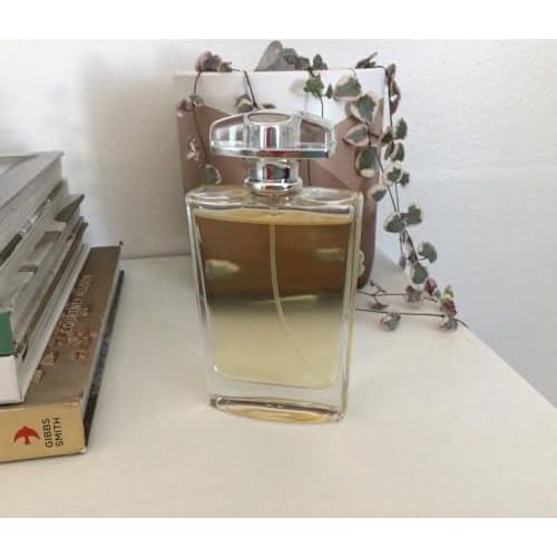 Refillable Perfume Bottle 100ML, Leak-Proof Travel Atomizer Spray Bottle with Fine Mist, Portable Empty Glass Perfume Bottle for Women & Men