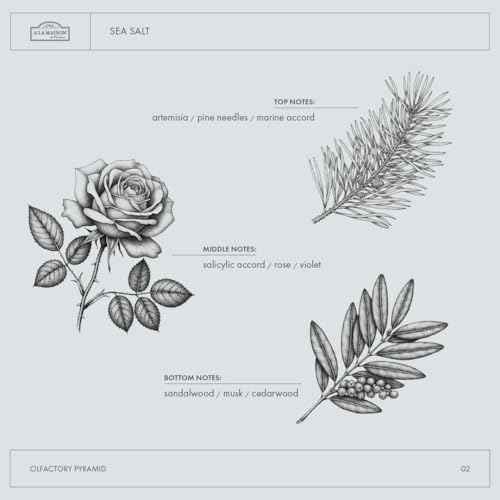 A LA MAISON Lotion - Fresh Sea Salt - 8 fl oz, silver