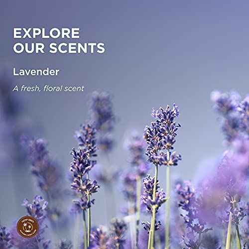 Hemp Seed Body Mist - 8 fl oz - Moisturizes, Invigorates & Protects Skin - With Hemp Seed Oil, Chamomile & Aloe Vera - Vegan, Cruelty Free