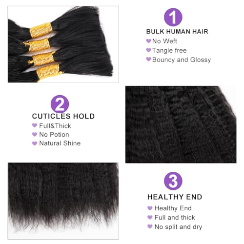 Kinky Straight Human Braiding Hair For Boho Braids Wet and Wavy Bulk Human Hair No Weft 100g (1Pack-4PCS) Yaki Straight For Micro Braiding (Kinky Straight£¨#1B), 24 Inch)