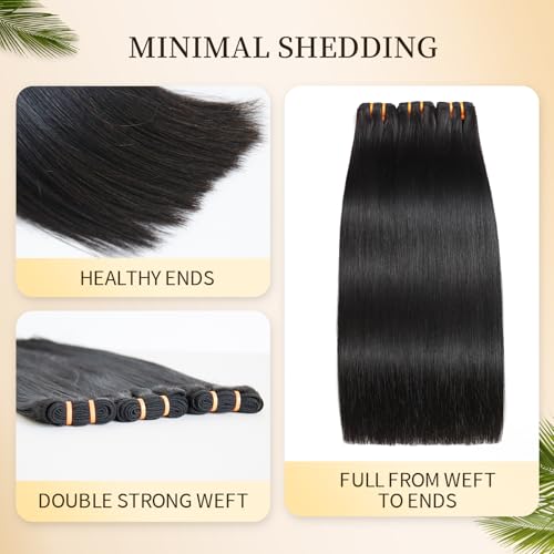 BLACKMOON 16a Raw Indian Hair Bundles 100% Unprocessed Raw Human Hair Straight Bundles Triple Lifespan Than Regular Virgin Hair 20 Inches Double Weft 100g/Bundle Natural Black