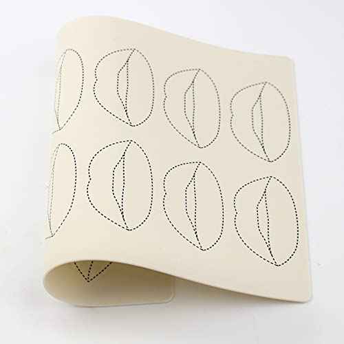 5pcs Lip Microblading Practice Skin for Tattoo Machine Double Sides Silicone Sheets to Practice Lip Permanent Makeup (5pcs)