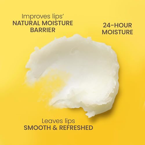 Burt's Bees Christmas Gifts - Garden Party Lip Balm Set for Stocking Stuffers, With Responsibly Sourced Beeswax, Natural Origin Lip Treatment, 4 Tubes, 0.15 oz.