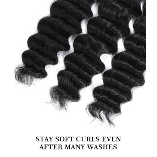 FASHION PLUS Raw Human Hair Bundles, Loose Deep Wave Bundles Human Hair 14 Inch Loose Wave Bundles Human Hair Real Raw Bundles Thick and Soft, Triple Lifespan 1 Bundle