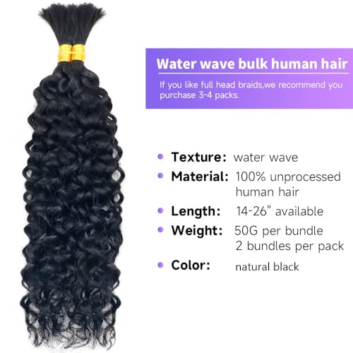 Human Braiding Hair Water Wave Bulk Human Hair For Braiding 100g (1pack-2bundles) No Weft 100% Unprocessed Human Braiding Hair For Boho Braids Water Wave Micro Braiding Human Hair 26inch Natural Color