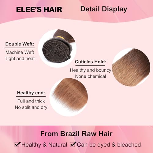 Ombre Straight Hair Bundles With Closure 12A Brazilian Virgin Remy Human Hair 2 Tone T4/30 Ombre Straight Human Hair Bundles with 4x4 Lace Closure Free Part (12 14 16 +12)