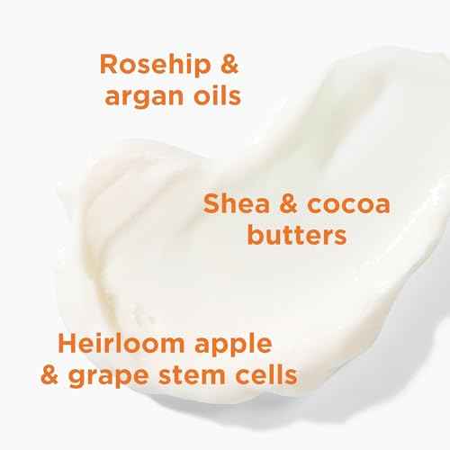 Andalou Naturals Vitalizing Body Lotion Mandarin Vanilla - Hydrating Daily Moisturizer to Nourish Dry Skin - With Shea Butter, Cocoa Butter, Rose Hip Oil, Argan Oil, & Aloe Vera - 8 fl oz