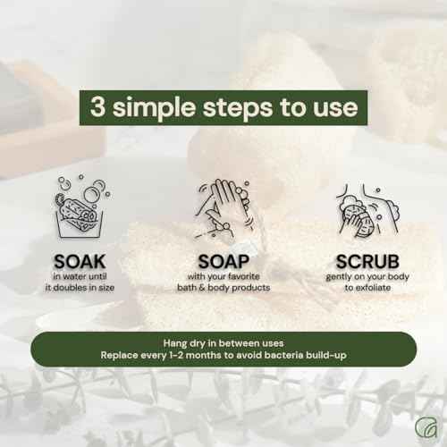 Chill Ah Natural Loofah Sponge Set ? 100% Plant-Based, Dye-Free, Biodegradable Bath Exfoliator for Glowing Skin ? Handcrafted in Vietnam (4-Pack)