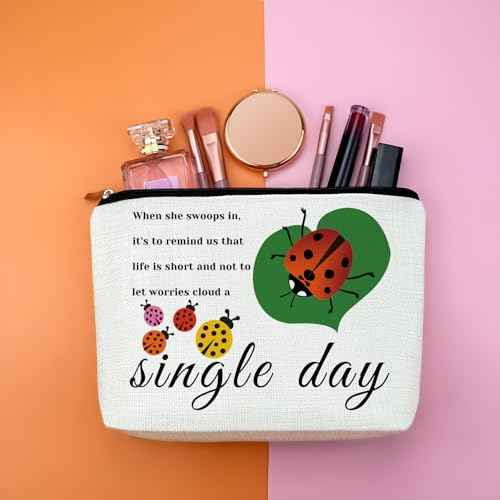 Ladybug Lover Gift Ladybug Makeup Bag Good Luck Ladybug Gift for Women Inspirational Friendship Gift for Friends Lady Bug Cosmetic Bag Birthday Christmas Gift for Girls Daughter Travel Toiletry Pouch