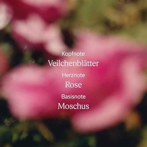 L'OCCITANE Body Lotion: Moisturizing With Shea Butter, Softening, Visibly Firmer-Looking Skin, Made in France, Almond Milk Veil, Noble Epine, Barbotine, Cherry Blossom, Lavender, Rose and Verbena