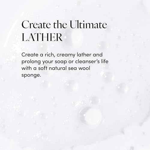 LATHER - Natural Sea Wool Sponge, 5-6" - Organic Exfoliating Body Scrubber - Soft, Gentle Cleansing - Hypoallergenic - All Skin Types - Florida Natural Loofah Sponge - Cruelty Free - Beauty & Skincare