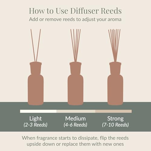 Archipelago Botanicals Arugula Reed Diffuser, Home Fragrance Reed Diffuser, Includes Fragrance Oil, Decorative Wooden Cap & 10 Diffuser Reeds, Perfect for Home, Office or Gift, 7.85 fl oz
