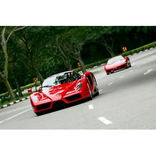 Wonderbox - Original Gift Idea - Experience Gift - Bucket List Experiences - 1 Activity to Choose from a Selection: Ferrari Driving, Dolphin Watching, Speedboat, Airboat for Gators Watching...