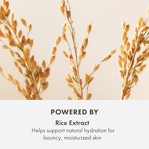 Origins Plantscription Lifting + Firming Peptide Moisturizer | Anti Aging Face Cream | Visibly Smooths Fine Lines and Wrinkles | With Peptide & Rice Extract, 1.7 Fl Oz