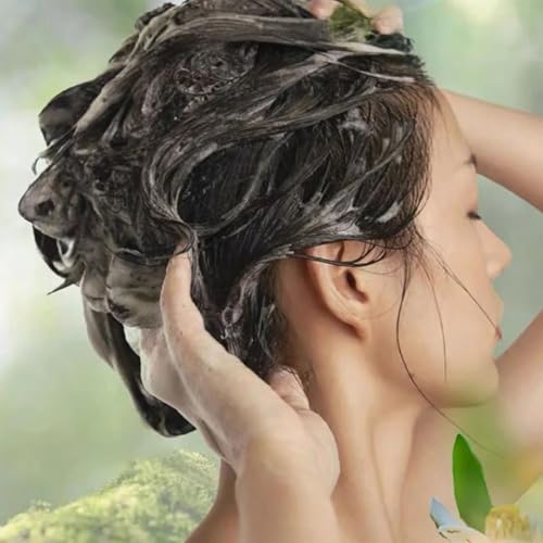 Nourishing Plant-Based Hair Color - Long Lasting Plant Based Hair Dye Natural Hair Color Shampoo for Gray Coverage, Gray Hair Shampoo Natural Plant Hair Dye, Pure Plant Extract (Natural Black)