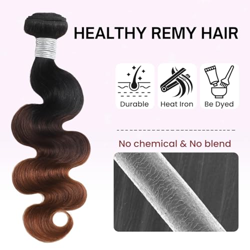 12A Chestnut Brown Ombre Body Wave Bundle Human Hair 26 Inch, T1B/2/30 3 Tone Brown Color Remy Hair Single 1 Bundle 100% Sew In Quick Weave Dark Roots Keep Soft Glossy after Washes