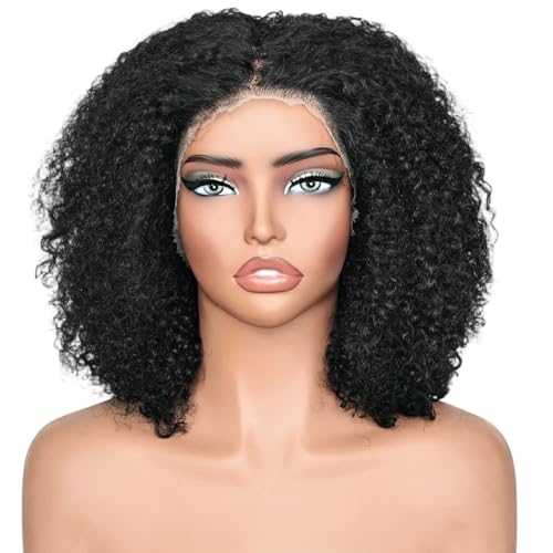 Afro Kinkycurly Wig Human Hair, 13x4 Lace Front Glueless Bob Wigs, 180 Density Pre Plucked Transparent Lace Frontal, Brazilian Kinky Straight Wig for Black Women, Natural Black 14 Inch