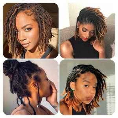 FAMILOCS Tight Afro Kinky Bulk 100 ％ Human Hair for Draedlock Extensions, Repair Locs, Twists and Braids (14 Inch, Natural Black, 5 Bundles with Crochet Needle Set and Rat Tail Comb)