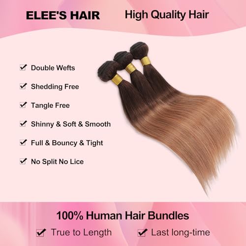 Ombre Straight Hair Bundles With Closure 12A Brazilian Virgin Remy Human Hair 2 Tone T4/30 Ombre Straight Human Hair Bundles with 4x4 Lace Closure Free Part (12 14 16 +12)