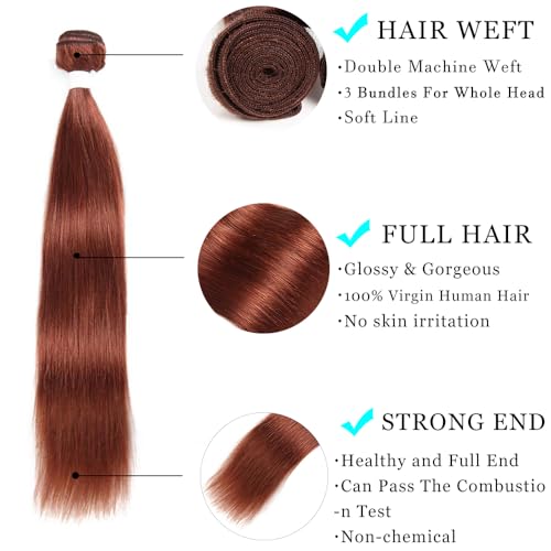 ijoy Straight Bundles with Closure Human Hair Bundles 8 10 12+C8 Reddish Brown Short Straight Hair 100% Virgin Human Hair 3 Bundles with 4x4 HD Lace Closure Free Part Chocolate Brown Color