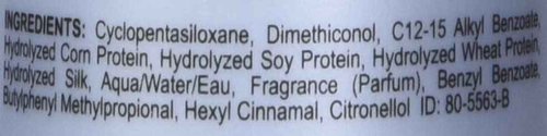 CHI Infra Silk Infusion, Leave-In Reconstructing Treatment To Strengthen & Protect All Hair Types, Alcohol-Free, 12 Oz, Pack of 2