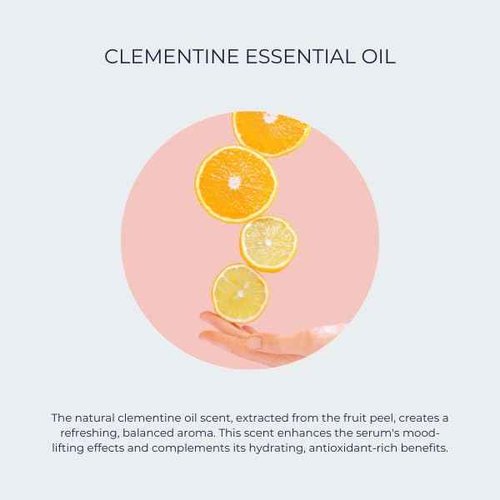 Alana Mitchell Hyaluronic Acid Serum for Face - Moisture Boost Anti Aging Serum - Face Serum to Fight Wrinkles & Fine Lines - Hydrating Serum Face Moisturizer for Sensitive, Dry & Combo Skin (2 oz)