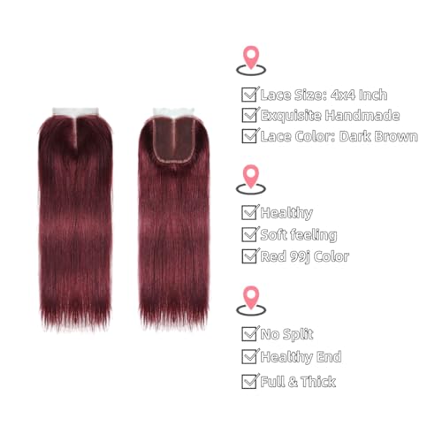 99j Burgundy human hair Straight Hair 10 12 14 with 10closure 8A Brazilian Virgin Hair 99j Burgundy Straight Hair Weaves Bundle Free Part Red Wine Color 100% Unprocessed Human Hair Weft Weaves