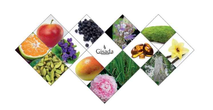 Gisada - Ambassador Men | 1.7oz (50ml) | Eau de Parfum | Men's Perfume | Spicy, Vibrant, Fresh, and Powerful Fragrance | Long-Lasting Scent with Citrus, Floral, Spicy, Warm, and Woody Notes