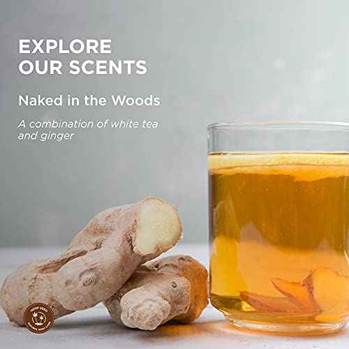 Hemp Seed Hand & Body Lotion - Soothe Dry Skin - Argan Oil, Hemp Seed Oil - Light, Non-Greasy Formula - Vegan & Cruelty Free