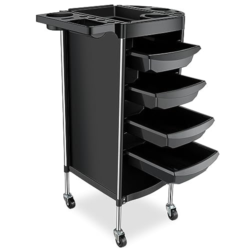 Noverlife Hair Salon Storage Tool Cart, 6-Layer Salon Cart with Wheels, Space Saving Barber Station Trolley, Rolling Carts for Hair Stylist Barber Storage Trolly for Hairdressing Beauty SPA Tattoo