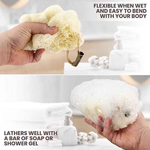 Almooni Mini Natural Loofah Sponge - Real Egyptian Shower Exfoliating Loofah - Small Loofah Scrubber for The Perfect Grip - 3 Count(1 Pack)