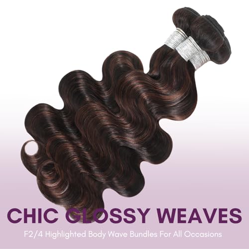 Brown Highlight Body Wave 3 Bundles Human Hair 10 12 14 Inch, 12A 2-Tone #F2/4 Dark Brown with Chestnut Streaks Ombre Human Hair Bundles 100% Virgin Real Hair Wavy Weave Thick Track Sew in Remy