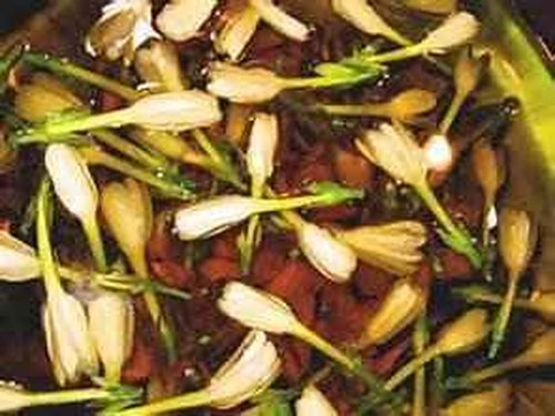 Monoi de Tahiti Oil-100% Natural-32 ounce