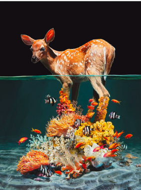 Water Animal Diamond Painting Kit Frog Square Full Cover Craft Set
