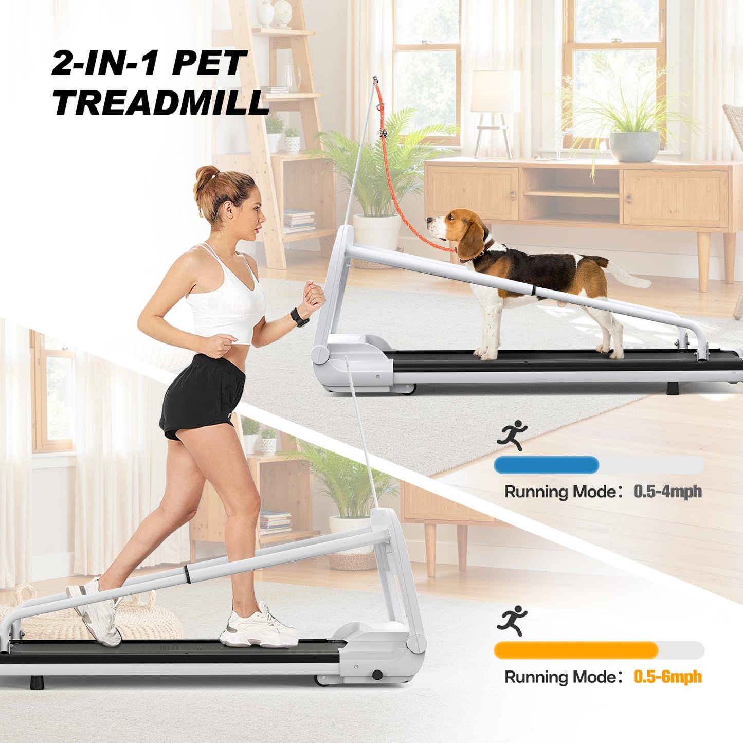 Quiet Adjustable Speed Dog Treadmill for Small & Medium Pets - Foldable & Easy Move