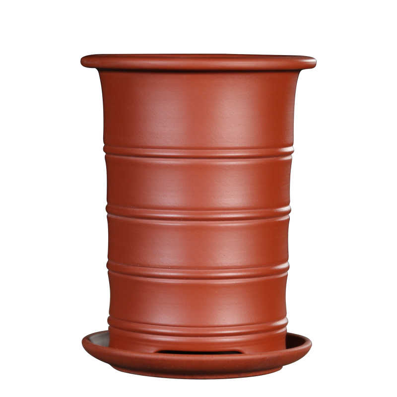 Decorative Flower Pot with Dish Holder for Flowers and Green Plants