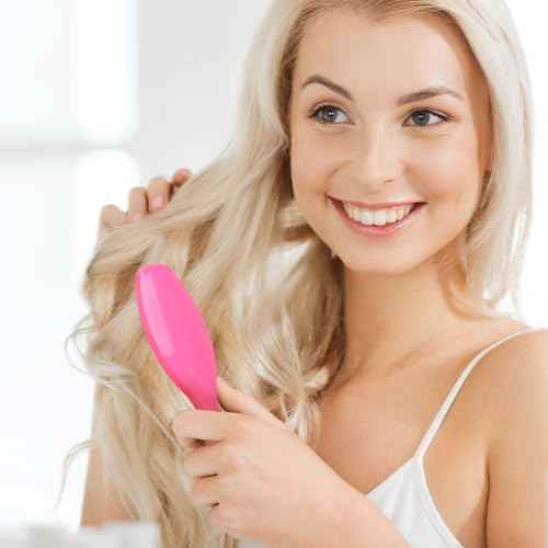 Metal Hair Brush,2 Pack Small Doll Wig Brush for Synthetic Wig Wire Cushion Brush Portable Stainless Steel Bristle Detangler Hairbrush Professional Wig Hair Combs Hair Extension Brush for Women