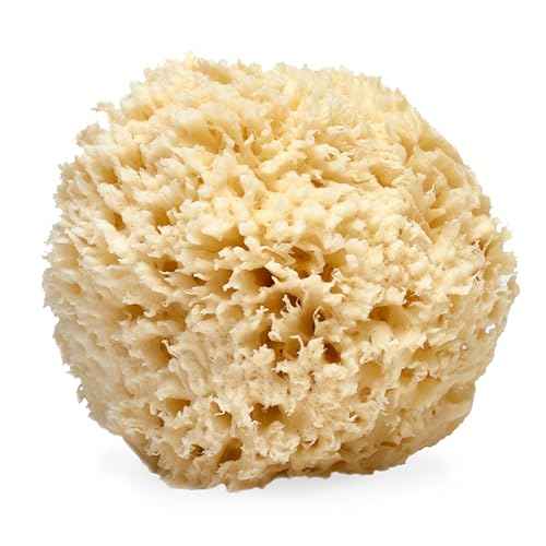 LATHER - Natural Sea Wool Sponge, 5-6" - Organic Exfoliating Body Scrubber - Soft, Gentle Cleansing - Hypoallergenic - All Skin Types - Florida Natural Loofah Sponge - Cruelty Free - Beauty & Skincare
