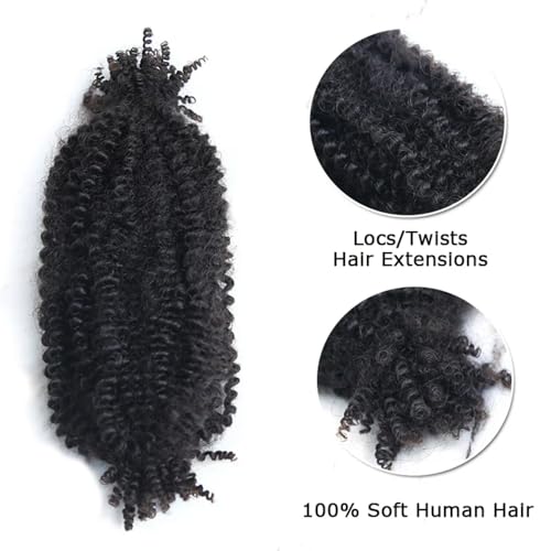 Afro Kinky Curly Braiding Hair for Dreadlocks, Loc Repair, Twists, Dreadlock Human Hair Bulk Pre-Separated Spring Afro Twist Human Hair Extensions 22Inch 100g