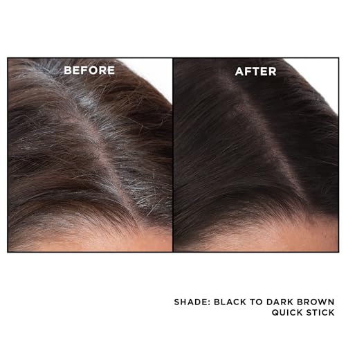 EVERPRO Gray Away Root Touchup Quick Stick, Black/Dark Brown, 0.1 Oz