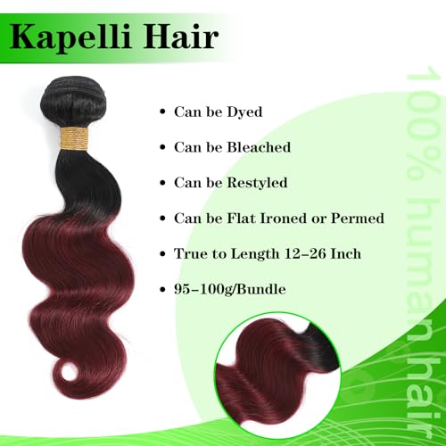 Kapelli Hair Ombre Human Hair Bundles With Closure (12 14 16+12) 100% Brazilian Virgin Human Hair Body Wave Bundles with Closure 2 Tone Black to Burgundy Human Hair Weave