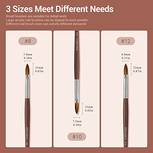 MODELONES Acrylic Nail Brush 100% Pure Kolinsky Hair Bristles Oval Crimped Shaped Sturdy Wooden Handle Acrylic Powder Nail Art Brush Professional Manicure Pedicure Size 8