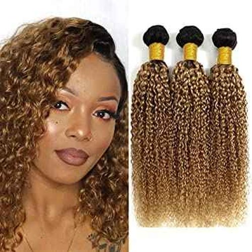 Ombre Bundles Human Hair Honey Blonde Bundles 1B27 Kinky Curly Human Hair Bundles 16 18 20 Inch Soft And Healthy Kinky Curly Ombre Human Hair Bundles 8A Unprocessed Honey Blonde Human Hair 3 Bundles