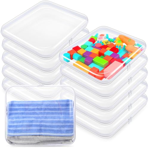Sanwuta 10 Pcs Hard Zipper Case Clear Hard Pouches Plastic Zipper Pencil Box Toy Storage Bins Portable Plastic Container for Travel Toiletry Office Cosmetic Block Puzzle Organizer(L,Clear)